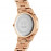 Watch Iconic Link amber RG&Brown D40