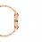 Watch Iconic Link amber RG&Brown D40